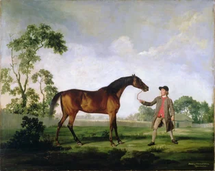 Lo stallone baio del Duca di Ancaster Spectator, tenuto da un groom, c.1762-5